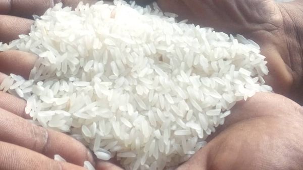 Rice from Tanzania supplied by Flamingoo Foods Company Limited - As per customer's request Rice