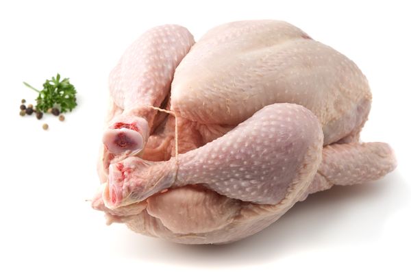 Chicken from 벨기에 supplied by Paas Food Industries - Ready-to-cook 냉동 미절단 닭고기