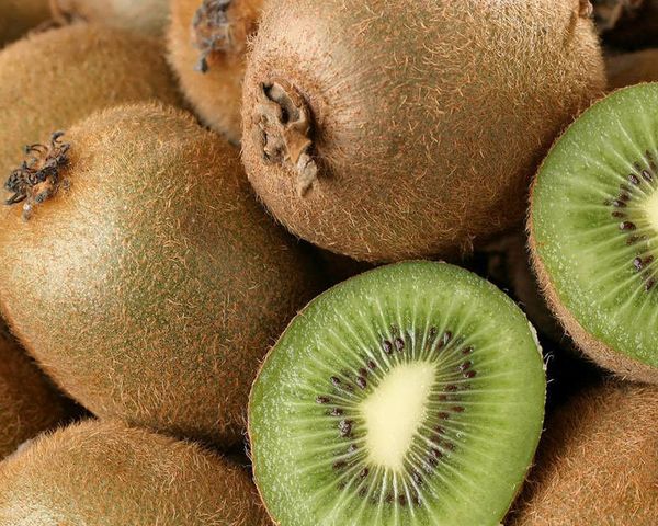 Kiwis from Netherlands supplied by Cool Point BV - Citrozone - High Quality Fresh Kiwifruit