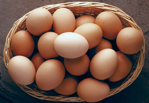 Fresh Chicken Egg from 루마니아 supplied by A&A FARMS SRL - In Shell 달걀
