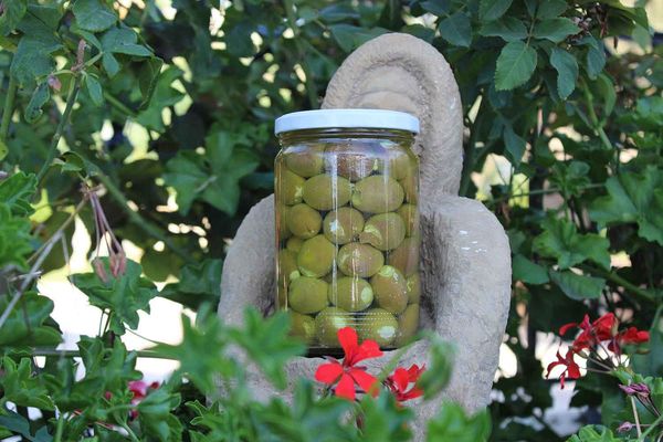 Bottled Green Olives from 레바논 supplied by Green Village Lebanon - Bottle 올리브 가공품