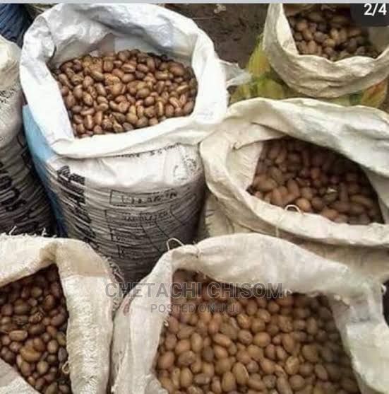 Bitter kola(Garcinia kola) from Nigeria supplied by Reino Export/Import - Mesh Bags (50kg) (=Net) Kola Nut