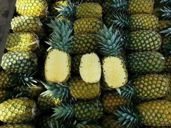 Fresh Pineapple from 코스타리카 supplied by CÍtricos Bella Vista S.A. - Yellow 신선 파인애플