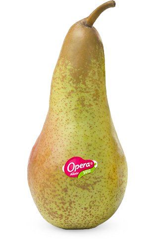 Abate Fetel Peach from 이탈리아 supplied by Opera - Green Skin Color 신선 복숭아