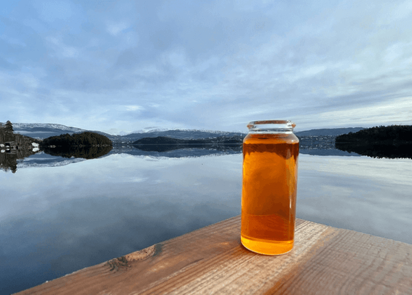 Fish Oil from 노르웨이 supplied by MARINE BIOPRODUCTS AS - Capsules 피쉬오일