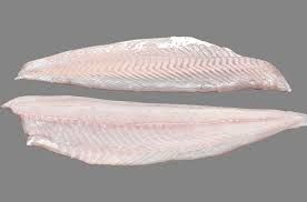 Sathe from United Kingdom supplied by Fastnet Fish Ltd - Unspecified Coalfish