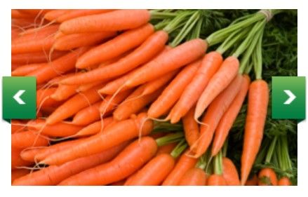 Fresh Organic Carrot from Germany supplied by Bioland-Hof Bäumer - Whole Fresh Carrot