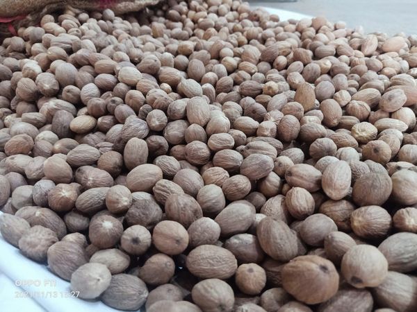 Nutmeg from 인도네시아 supplied by PT Pratama Spices Indonesia - 혼합 향신료 상품