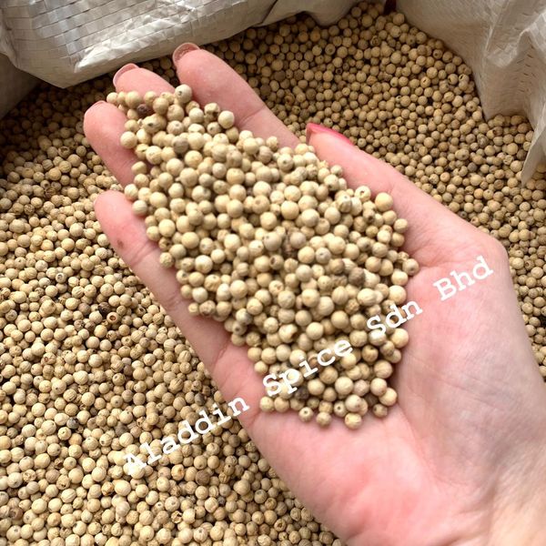 Best Quality Sarawak White Peppercorn Berries from 말레이시아 supplied by Aladdin Spice Sdn Bhd - Conventional 화이트 페퍼콘