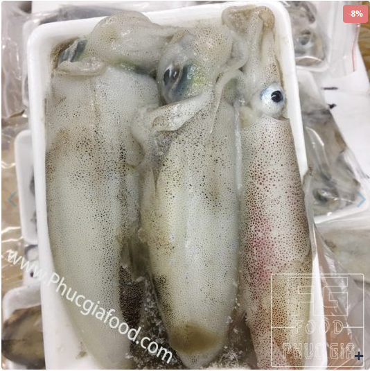 Squid from 베트남 supplied by Phuc Gia Food Seafood - Whole 냉동 오징어