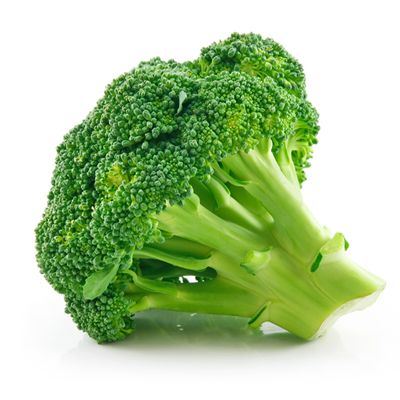 Broccoli from 러시아 supplied by ROYAL FRESH LLC - Fresh (=Chilled) 신선 브로콜리 꽃