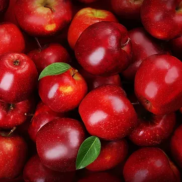 Apple from 뉴질랜드 supplied by JP Exports - Pacific Rose 신선 사과