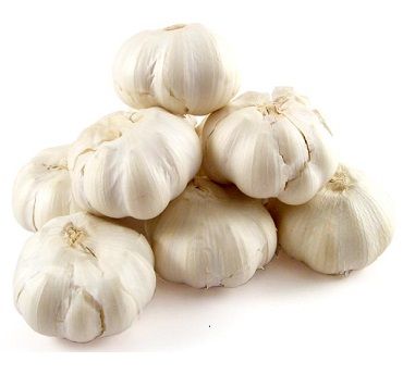 Garlic from 인도 supplied by Galaxy Expo Company - Raw 신선 마늘