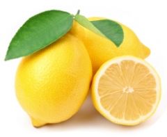 Lemons from 이집트 supplied by Food Alliance Co. - 밝은 노란색 신선 레몬