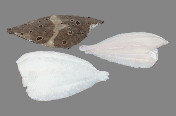 Plaice from Iceland supplied by Iceland Seafood do Brasil Ltd. (SI Group) - Fillet Frozen Plaice