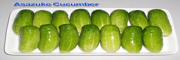 Cucumber from Thailand supplied by Santiphap Trading Company Limited - Green Fresh Cucumber