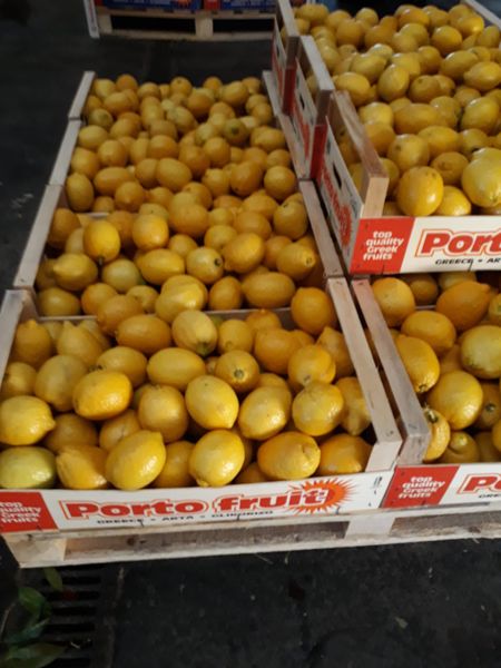 Fresh Whole Lemon from 그리스 supplied by PORTOFRUIT SA - Plastic Punnets (=Clamshells) 신선 레몬