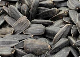Sunflower Seeds from 미국 supplied by Anchor Ingredients Co., LLC - Striped 해바라기 씨