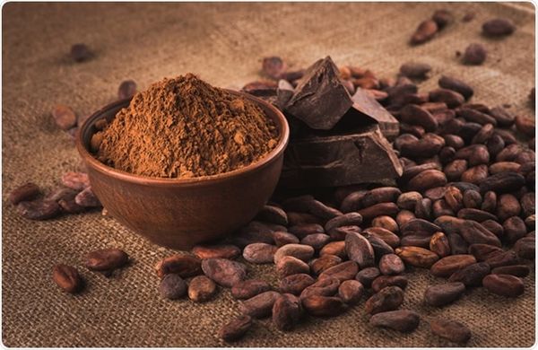 Cocoa from 우간다 supplied by Pearl Of Africa Oil & Nut Company - Unspecified 코코아콩
