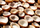 Coconut from India supplied by SMS Exporters - Shelled (=No Shell) Other Fresh Coconut