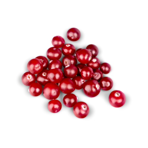Cranberries from 남아프리카공화국 supplied by Freshstart Food - Red 신선 크랜베리