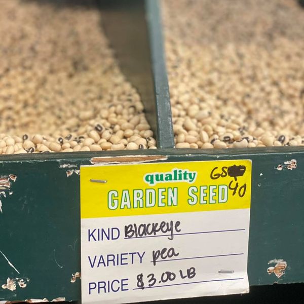 Blackeye Beans from 미국 supplied by Roche Farm & Garden - Kidney Bean 말린 일반 콩