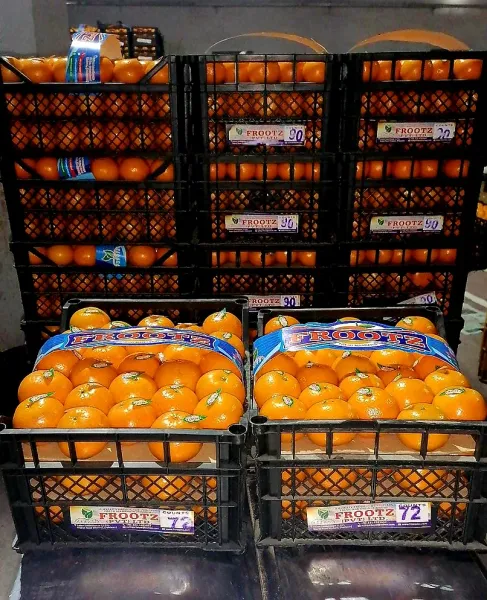Fresh Orange from 파키스탄 supplied by FROOTZ PVT. LTD - 주황색 신선 오렌지