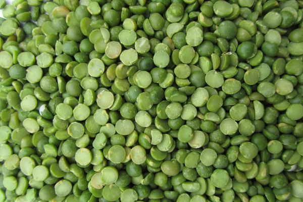 Peeled Peas from 스페인 supplied by MD Pelcam - Green 냉동 완두