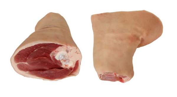 Pork Leg Hock from 아일랜드 supplied by Rosderra Irish Meats Group - Frozen 기타 신선 돼지고기 부위