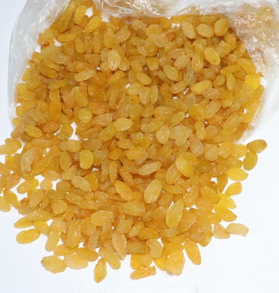 Raisin (Dried Grape) from 우즈베키스탄 supplied by GOLDEN LEAF’S FUTURE, LLC - Dried 건포도