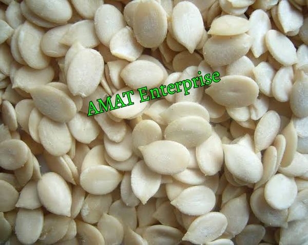 Dried Egusi (Melon Seed) from 나이지리아 supplied by AMAT Foods - 좋은 품질 신선 멜론(머스크 멜론)