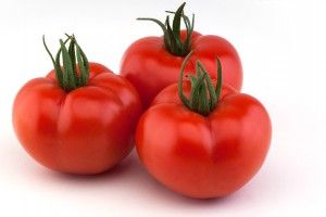Fresh Tomato from 스페인 supplied by ZOI - Plum Varieties (=Allongées) 신선 토마토
