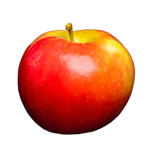 Elstar Apple from Netherlands supplied by Van Kessel Fruit - Elstar Varieties Fresh Apple