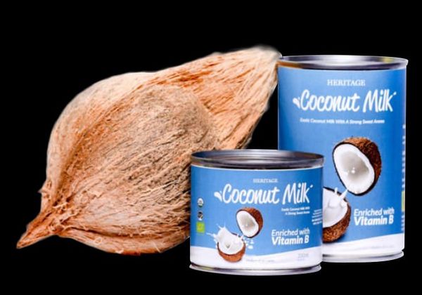 Coconut milk (17%) from 스리랑카 supplied by Heritage Lanka Nature Products PVT Ltd. - Super Quality 코코넛밀크