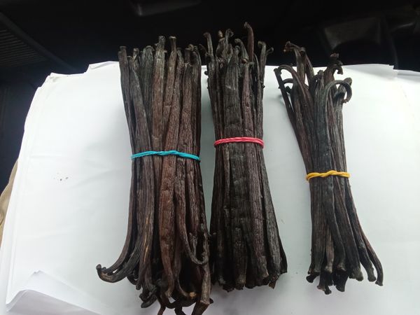 Grade C Vanilla Bean Tahitensis from Papua New Guinea supplied by Agunity - Dried - Sun Dried Vanilla