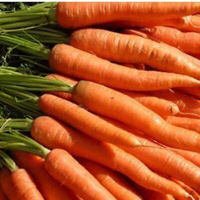 Carrot from India supplied by Farm Fresh Exports - Orange Fresh Carrot
