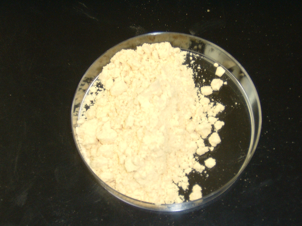 Yellow Mustard Powder from Canada supplied by ZETCAN CORP - Excellent Quality Mustard Seed
