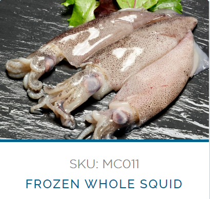 Argentine Squid from Argentina supplied by Establecimiento Munini S.R.L. - Argentine Shortfin Squid (=Illex argentinus) Frozen Squid