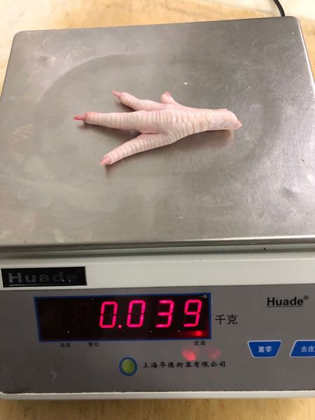 frozen chicken paws from 칠레 supplied by Agroindustrial Arica S.A - Carton Box (20kg) (=Cardboard Box) 냉동 미절단 닭고기