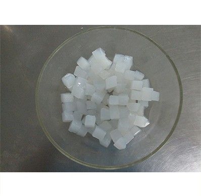 Canned Nata De Coco from 태국 supplied by Siam Bicent - Fully Husked 기타 신선 코코넛