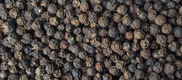 Black Pepper from Thailand supplied by RUNGRUENG AGRI FOOD CO., LTD. - Black Whole Black Peppercorn