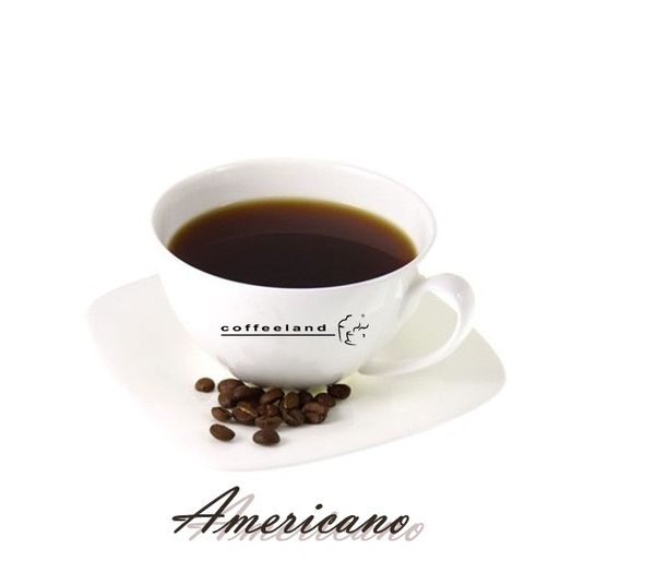 Roasted Coffee Bean from Malaysia supplied by Coffeeland Sdn Bhd - Brazilian Raw Common Coffee Bean