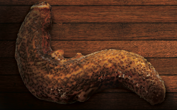 Fresh Sea Cucumber from 멕시코 supplied by Fedecoop (Federación Regional de Sociedades Cooperativas de la Industria Pesquera de Baja California) F.C. - Whole 냉동 해삼