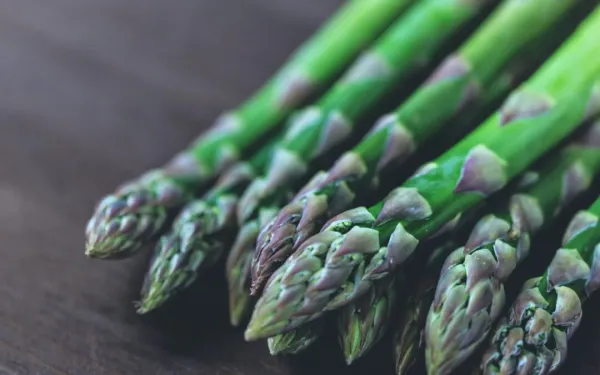 Fresh Asparagus from 폴란드 supplied by UPRAWA PIECZAREK Józef Piórko - Cut 신선 아스파라거스