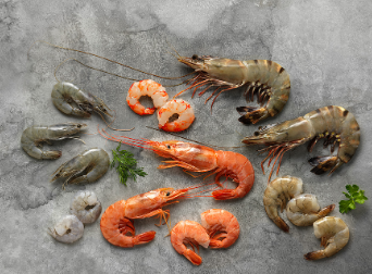 Prawn from 영국 supplied by Nordic Seafood UK Ltd. - Whole 냉동 새우