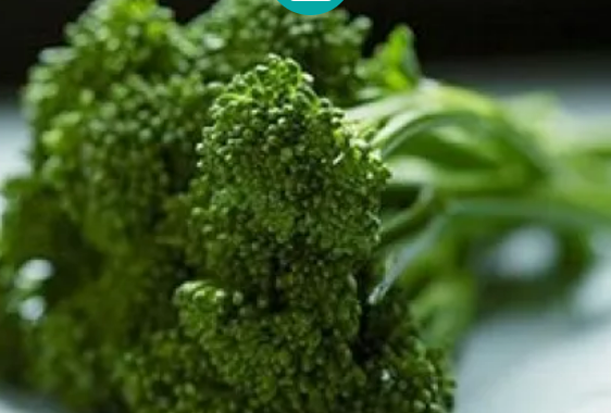 Broccoli from United Kingdom supplied by Bimi Group - Green Fresh Headed Broccoli