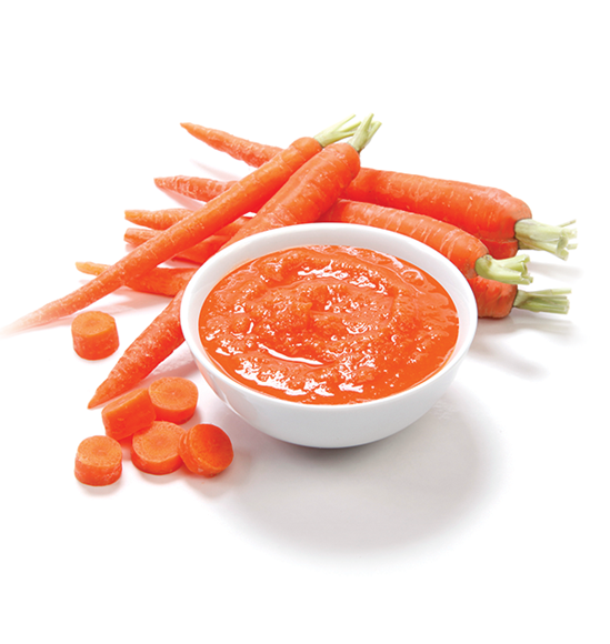 Carrot Puree from 미국 supplied by Milne Fruit - Puree 당근 가공품