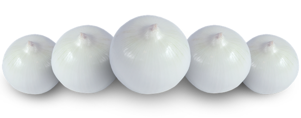 Onions from 미국 supplied by Peri & Sons Farms Inc - Raw 신선 양파
