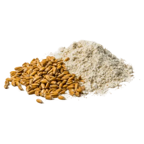 Spelt Flour from 스위스 supplied by Fischer Mill AG - Organic 스펠트밀가루
