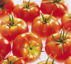Fresh Tomato from Belgium supplied by BEL’EXPORT - Other - Kumato (=Black Tomato) Fresh Tomato